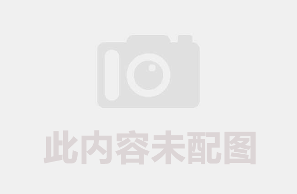 芒果核制炭專用生產(chǎn)線——炭化機(jī)效率翻倍